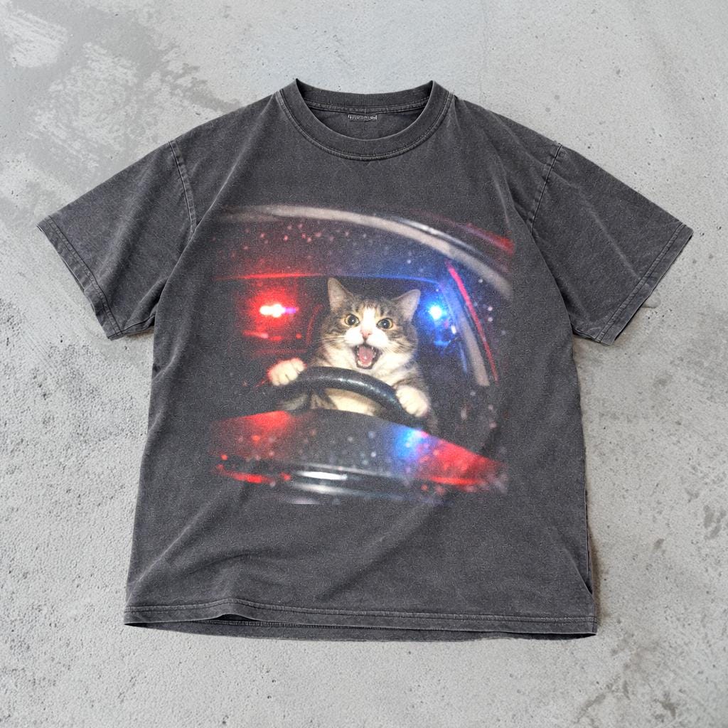 Cat Vintage Cat Memes Retro Unhinged Comfort Colors Oversized (2)