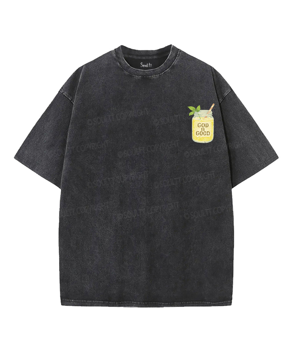 Squeeze the Day Double Sided Unisex Washed Christian T-shirt Hoodie, Sweatshirt | CiraTrend.com (Image 4)