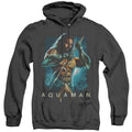 Aquaman Movie Trident Mens Heather Hoodie Black T-Shirts, Sweatshirt | CiraTrend.com (Image 1)