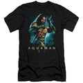 Aquaman Movie Trident Hbo Premium Bella Canvas Slim Fit Mens T Shirt Black Hoodie, Sweatshirt | CiraTrend.com (Image 1)