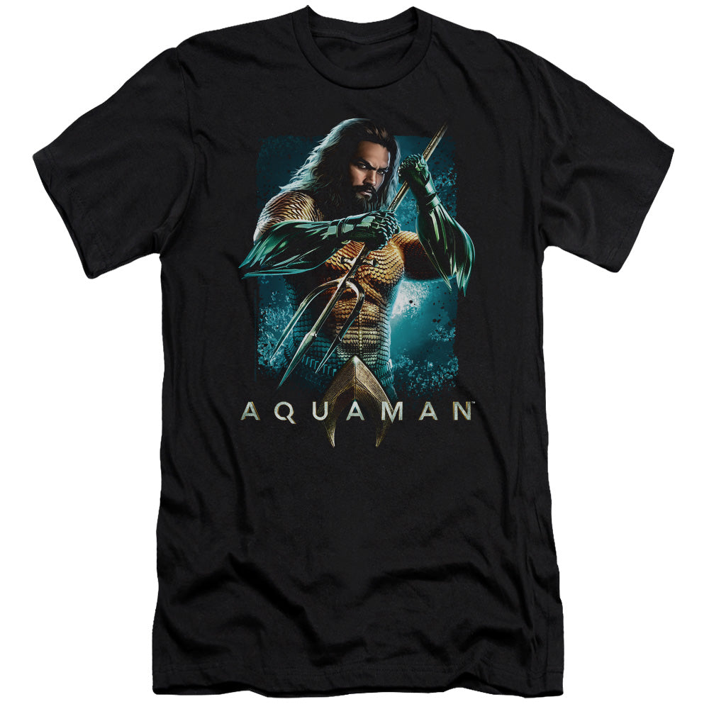 Aquaman Movie Trident Hbo Premium Bella Canvas Slim Fit Mens T Shirt Black Hoodie, Sweatshirt | CiraTrend.com (Image 1)