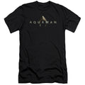 Aquaman Movie Logo Slim Fit Mens T Shirt Black Hoodie, Sweatshirt | CiraTrend.com