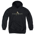 Aquaman Movie Logo Kids Youth Hoodie Black T-Shirts, Sweatshirt | CiraTrend.com