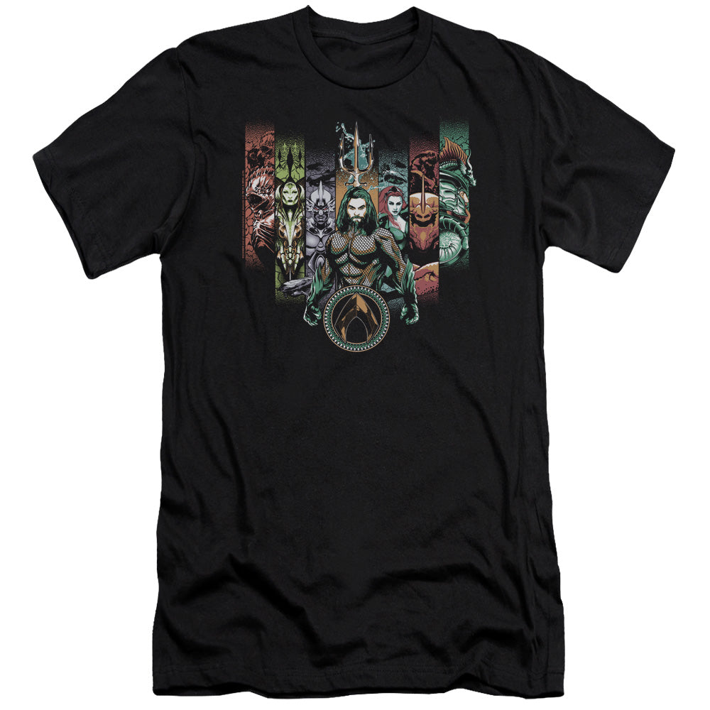 Aquaman Movie Unite The Kingdoms Hbo Premium Bella Canvas Slim Fit Mens T Shirt Black Hoodie, Sweatshirt (Image 1)