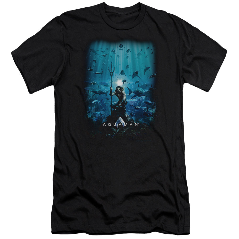 Aquaman Movie Poster Hbo Premium Bella Canvas Slim Fit Mens T Shirt Black Hoodie, Sweatshirt | CiraTrend.com (Image 2)