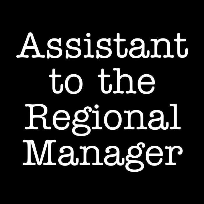 Assistant to the Regional Manager - Men's Apparel T-Shirts, Hoodie, Sweatshirt | CiraTrend.com (Image 2)