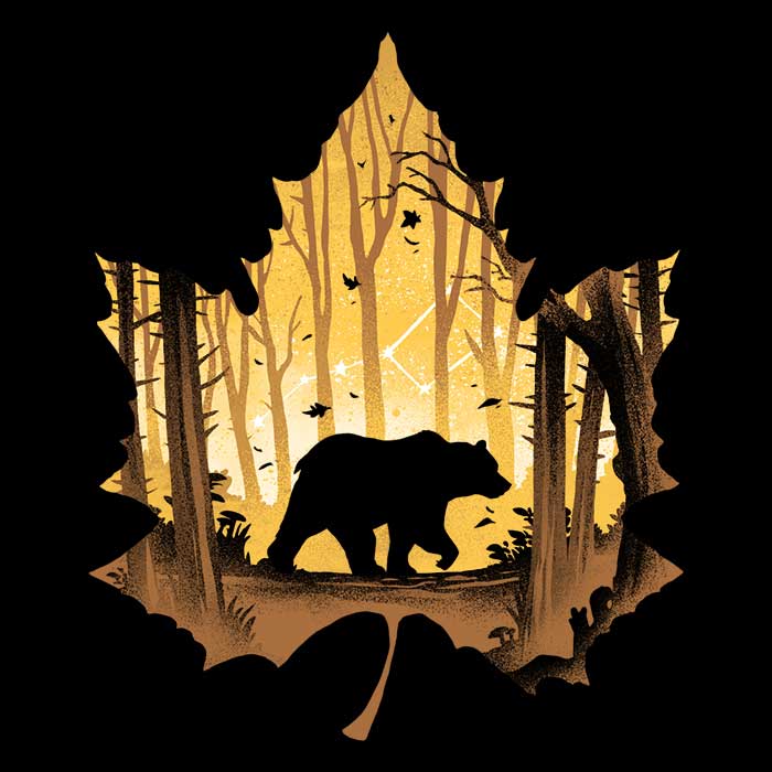 Bear Protector - Hoodie T-Shirts, Sweatshirt | CiraTrend.com (Image 2)