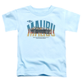 Chevrolet Thumbs Up - Toddler T-Shirt Hoodie, Sweatshirt | CiraTrend.com