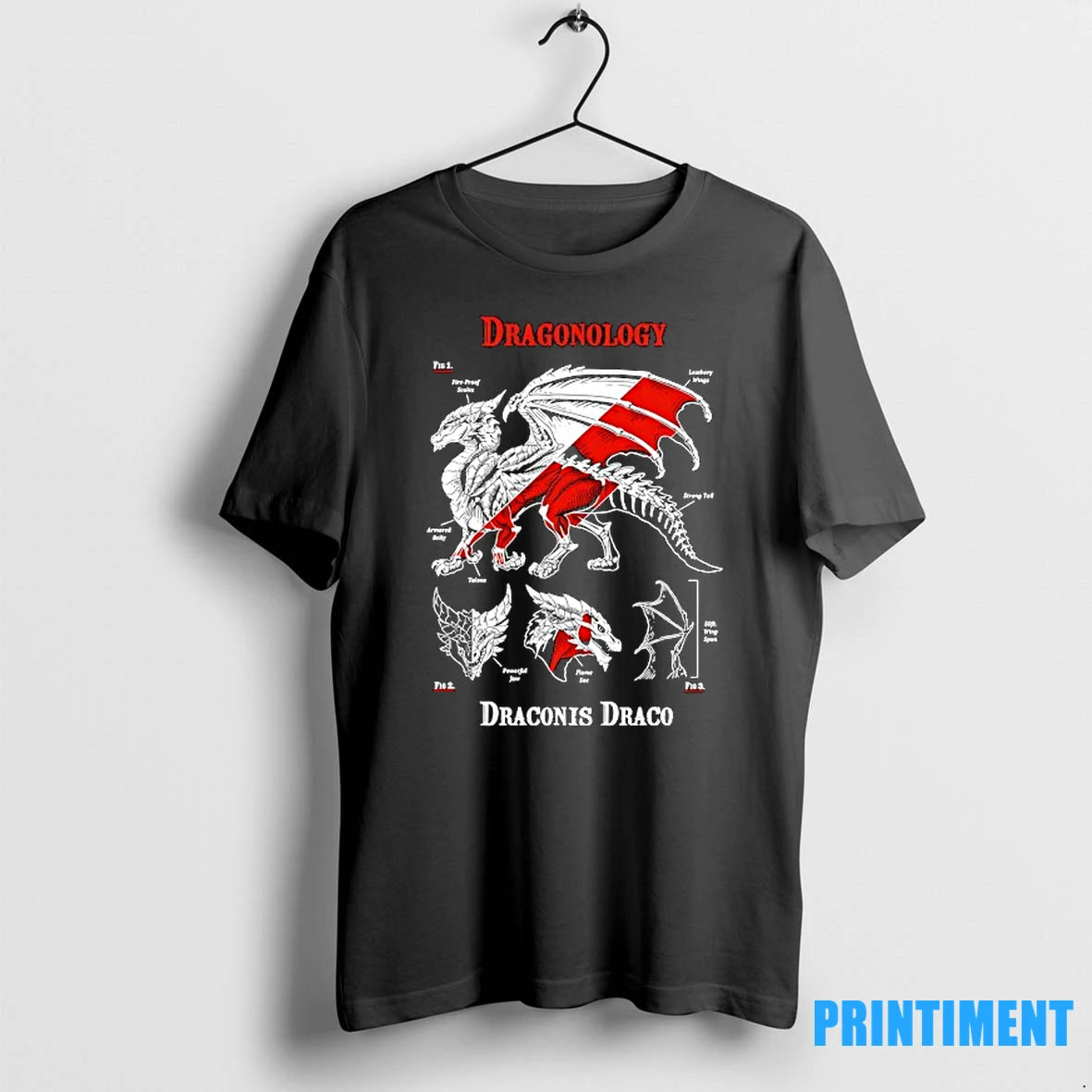 Dragonology Draconis Draco Tshirts Sweater