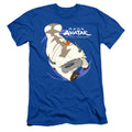 Avatar The Last Airbender Appa In Flight Slim Fit Mens T Shirt Royal Blue Style001 Hoodie, Sweatshirt | CiraTrend.com