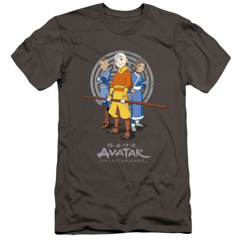 Avatar The Last Airbender Team Avatar Premium Bella Canvas Slim Fit Mens T Shirt Charcoal Hoodie, Sweatshirt | CiraTrend.com