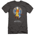 Avatar The Last Airbender Team Avatar Slim Fit Mens T Shirt Charcoal Hoodie, Sweatshirt | CiraTrend.com