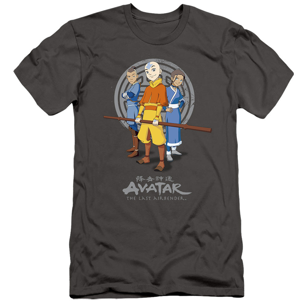 Avatar The Last Airbender Team Avatar Slim Fit Mens T Shirt Charcoal Style003 Hoodie, Sweatshirt | CiraTrend.com