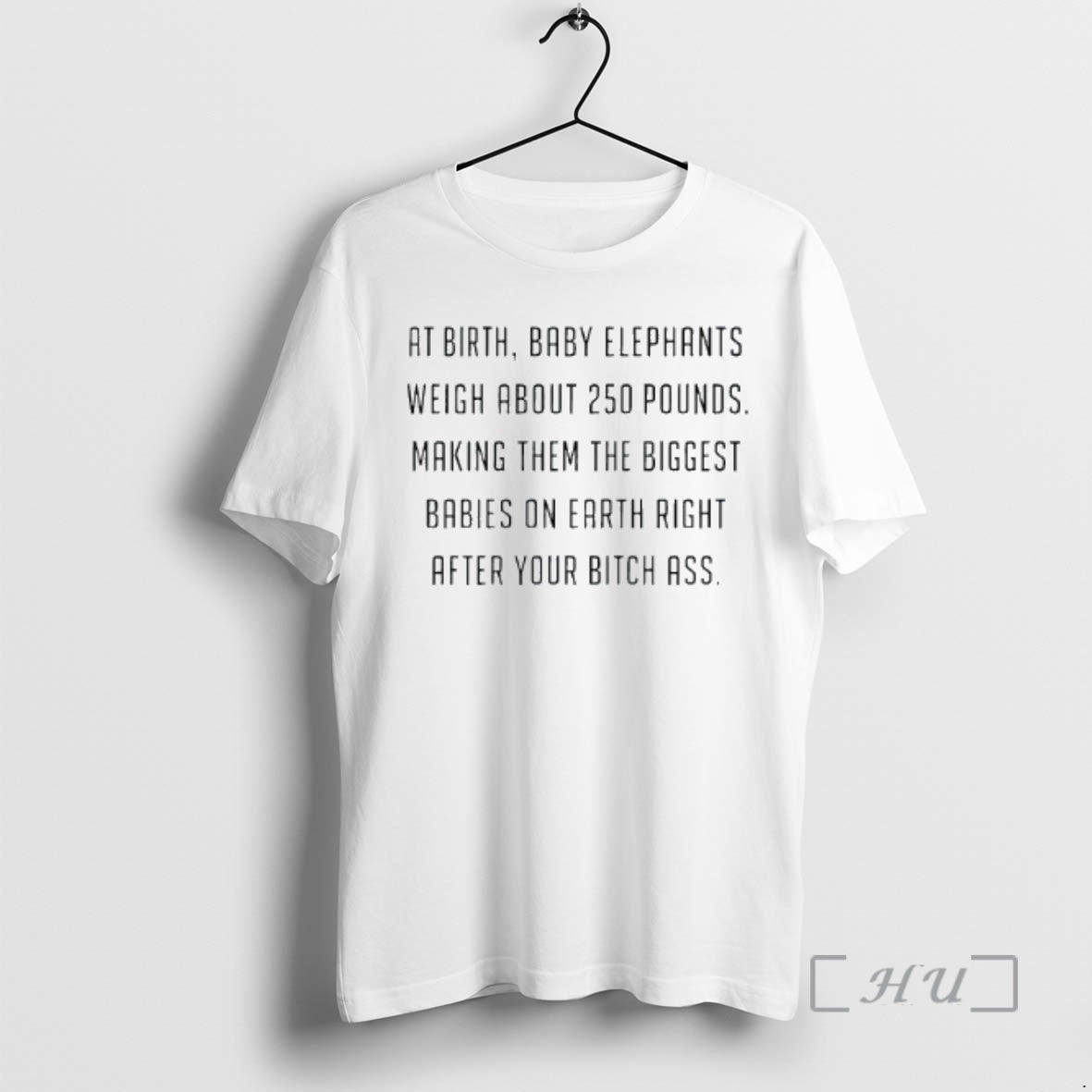 Officials At Birth Baby Elephants Weigh About 250 Pounds Making Them The Biggest Babies On T-Shirts, Hoodie, Sweatshirt