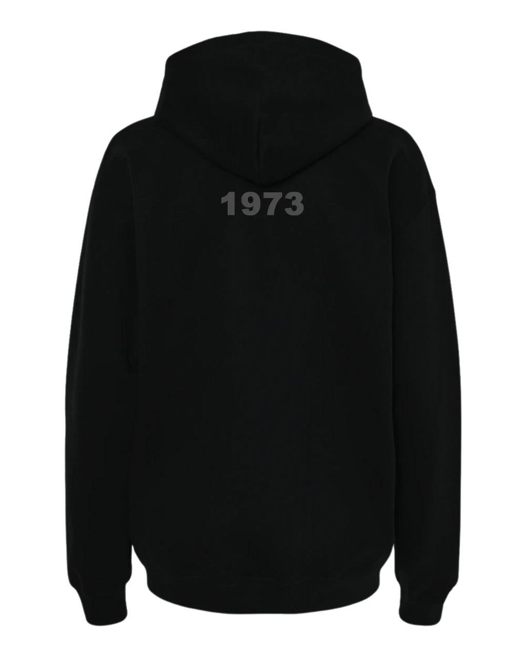Rays Heritage Collection Hoodie T-Shirts, Sweatshirt | CiraTrend.com (Image 2)