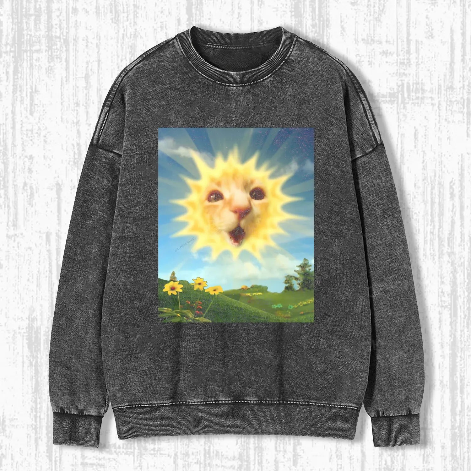 SUNSHINE CAT T-SHIRT Hoodie, Sweatshirt | CiraTrend.com (Image 5)