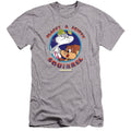 Animaniacs Slappy And Skippy Squirrel Premium Bella Canvas Slim Fit Mens T Shirt Athletic Heather Hoodie, Sweatshirt