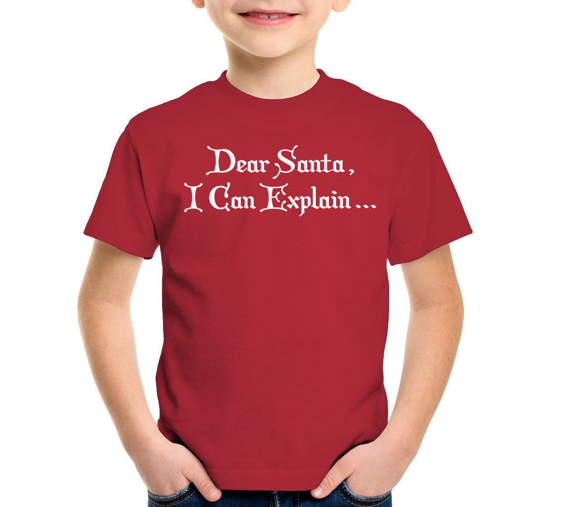 Dear Santa, I Can Explain T-Shirt Hoodie, Sweatshirt | CiraTrend.com (Image 5)
