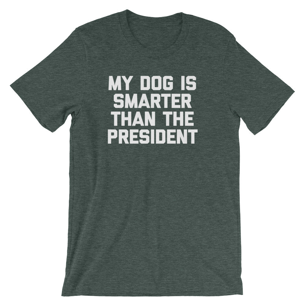 My Dog Is Smarter Than The President T-Shirt (Unisex) Hoodie, Sweatshirt | CiraTrend.com (Image 5)