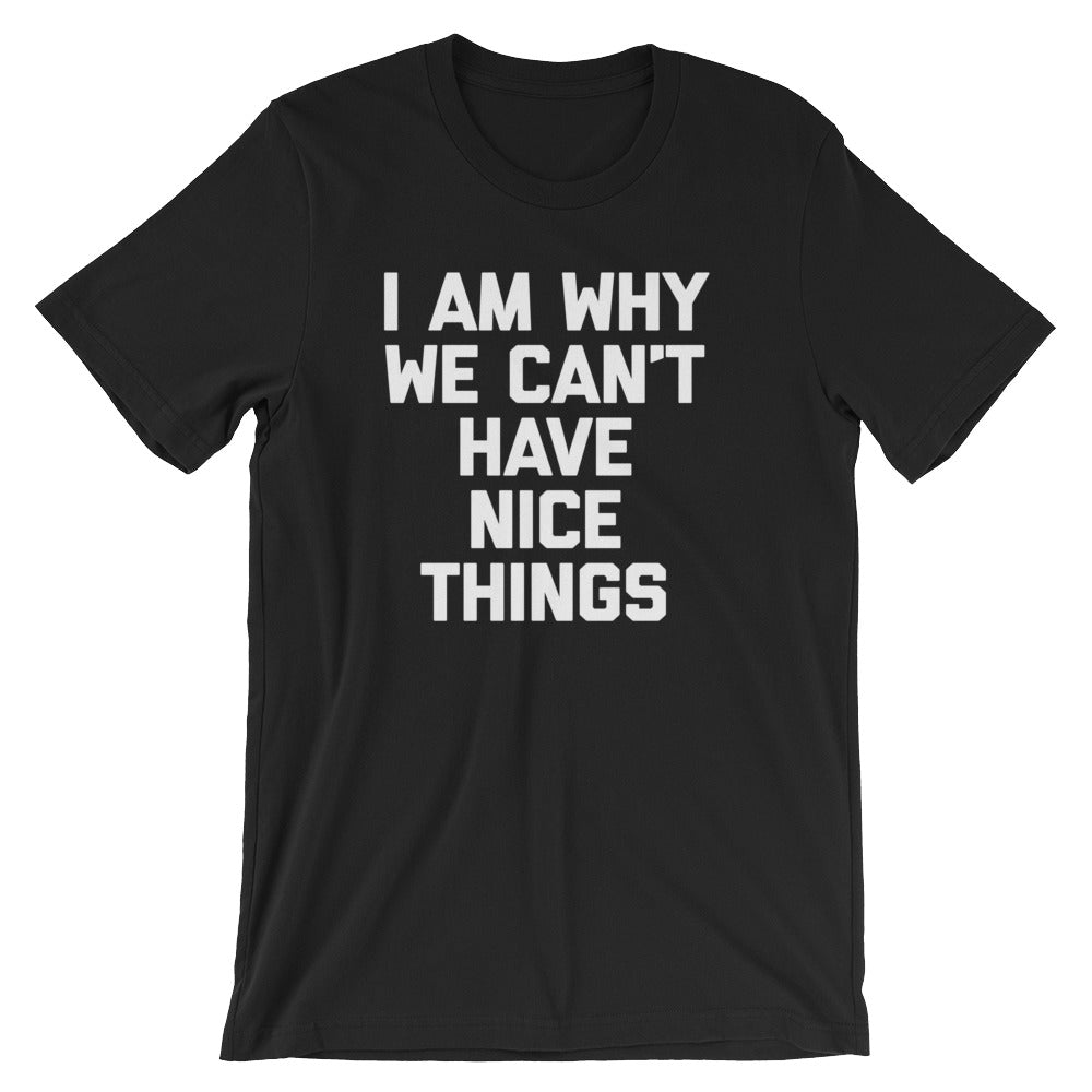 I Am Why We Can't Have Nice Things T-Shirt (Unisex) Hoodie, Sweatshirt | CiraTrend.com (Image 3)