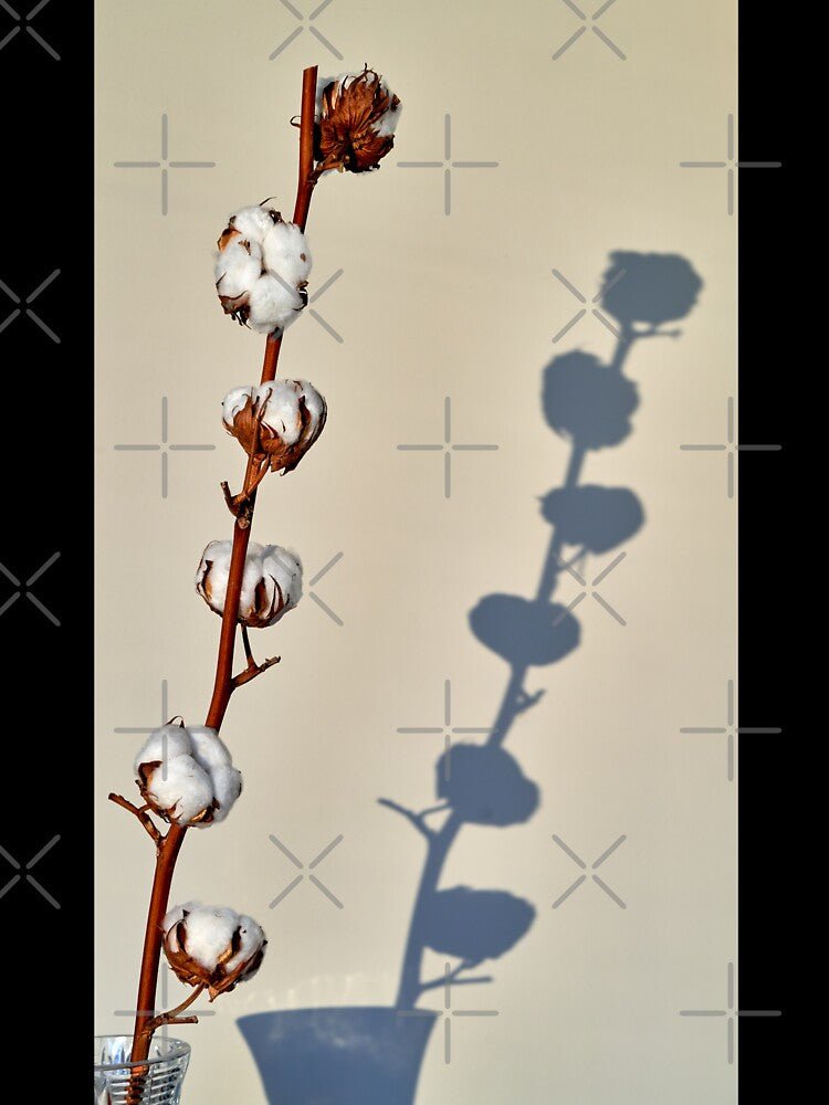 cotton sprig by IgorKovalenko