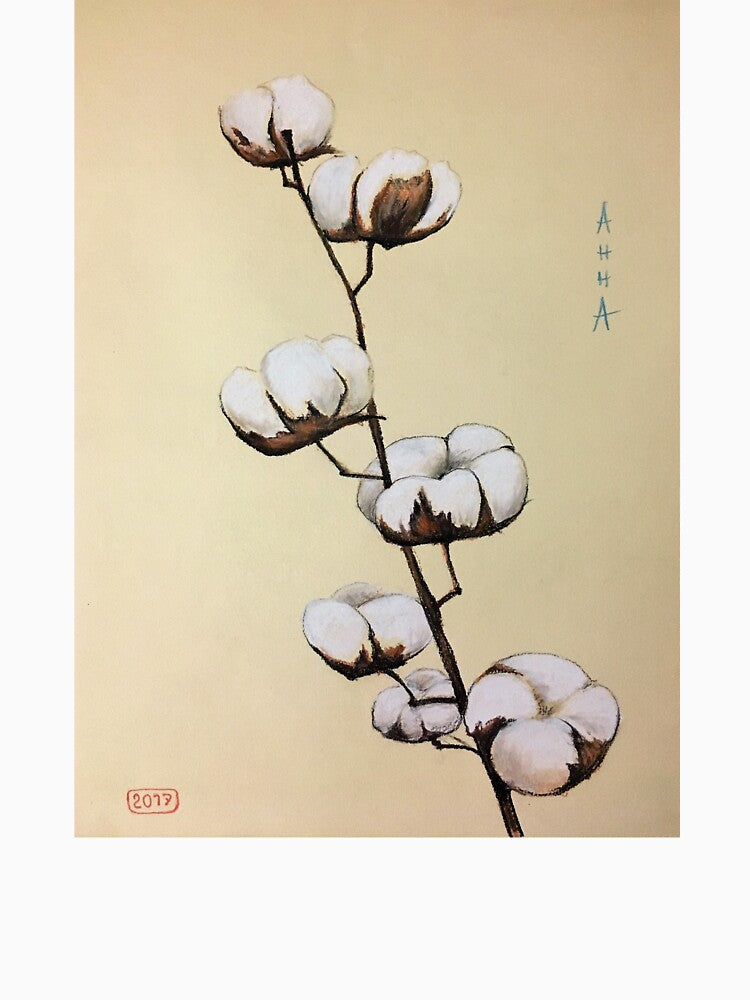 Cotton, cotton blooming, cotton flower by Ranisha