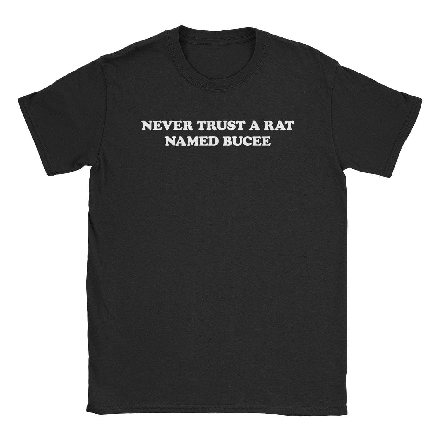 Rat T-Shirt Hoodie, Sweatshirt | CiraTrend.com (Image 1)
