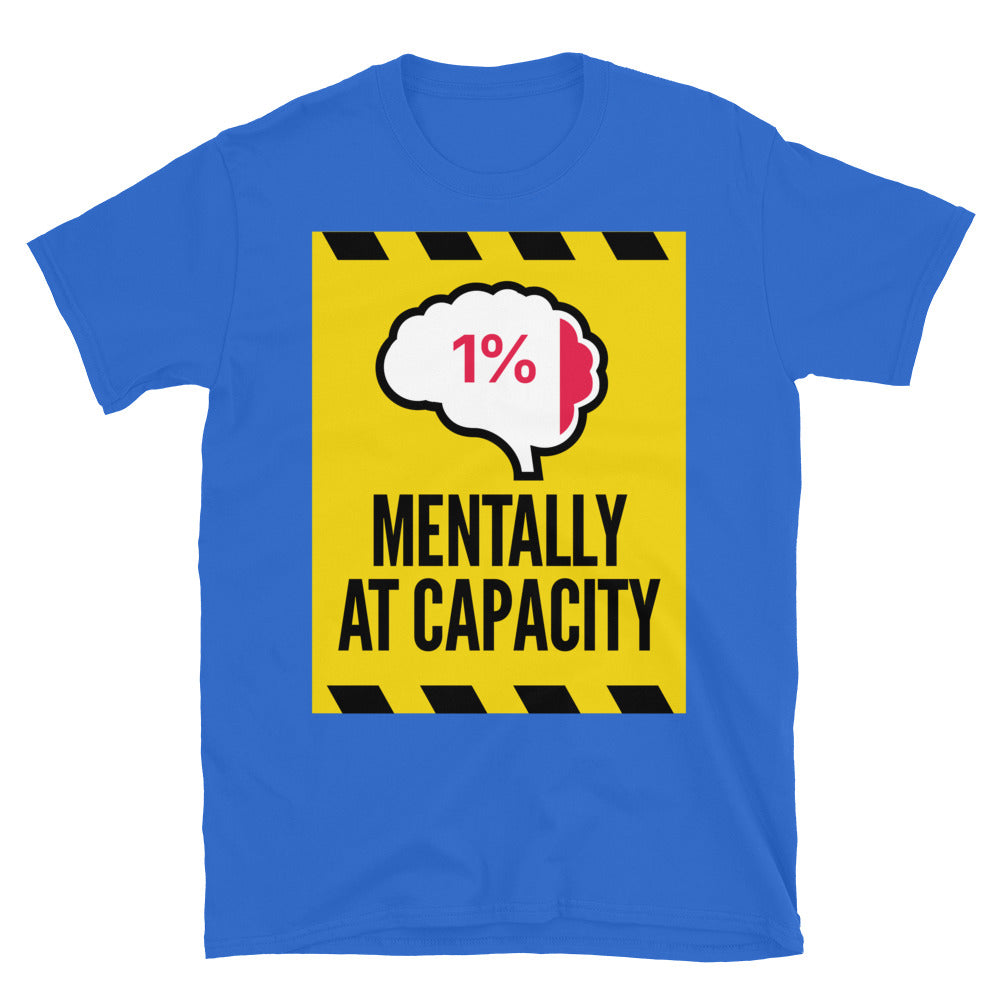 Mentally At Capacity T-Shirt Hoodie, Sweatshirt | CiraTrend.com (Image 3)